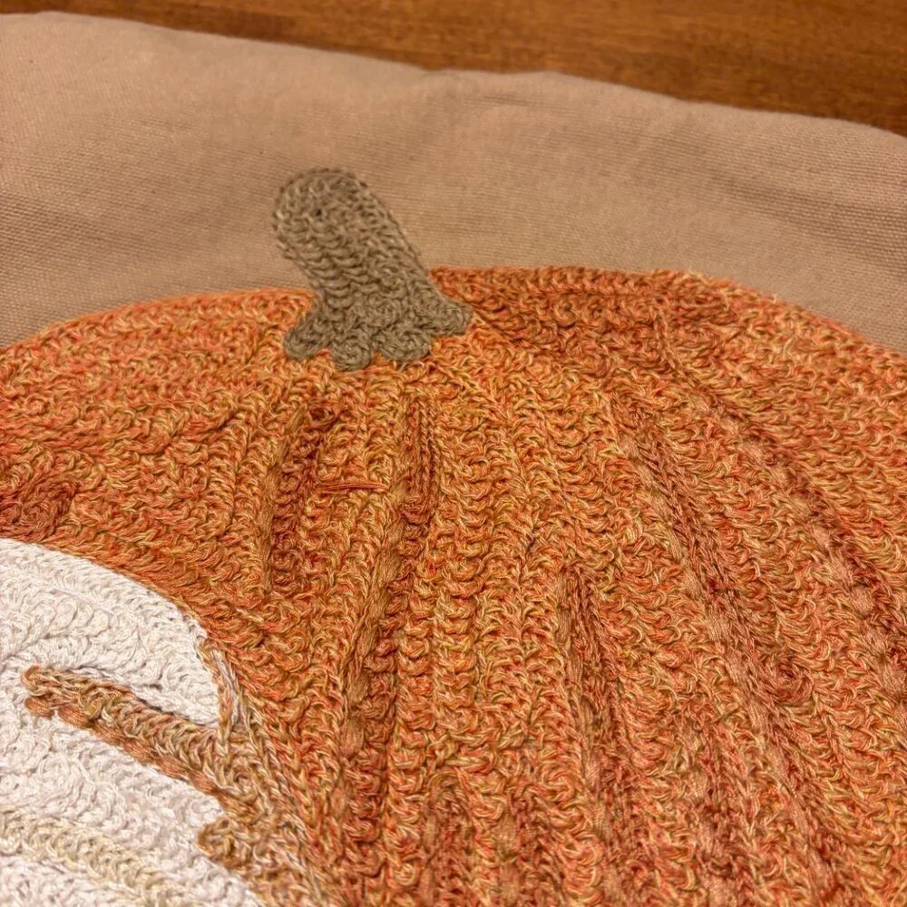 Pottery Barn accent pillowcase fall autumn pumpkin tan cotton 16x26